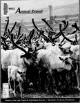 Annual Report: 1991 by N/A N/A