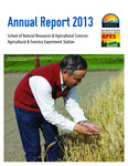 Annual Report: 2013 by N/A N/A