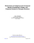 Performance of Indigenous and Introduced Slender Wheatgrass in Alaska, and Presumed Evidence of Ecotypic Evolution by Leslie J. Klebesadel