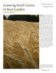 Growing Small Grains in Your Garden by Bob Van Veldhuizen