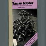 Flame Violet by D.H. Dinkel