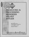 PRODUCING & PROCESSING REINDEER VELVET ANTLER by Ray Jr. Grover and Lyle A. Renecker