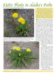 Exotic Plants in Alaska's Parks by Chris McKee
