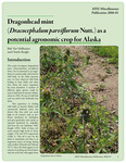 Dragonhead mint (Dracocephalum parviflorum Nutt.) as a potential agronomic crop for Alaska by Bob Van Veldhuizen and Charlie Knight
