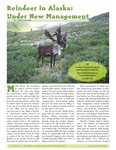 Reindeer in Alaska: Under New Management by Greg Finstad