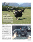 The Muskox: a new northern farm animal by Deirdre Helfferich