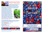 Alaska Berries by N/A N/A