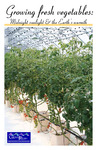 Growing fresh vegetables: Midnight sunlight & the Earth’s warmth by N/A N/A