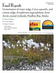 Final Report: Germination of water sedge, Carex aquatilis, and cotton sedge, Eriophorum angustifolium, from Arctic coastal wetlands, Prudhoe Bay, Alaska by Patricia S. Holloway, M. Sean Willison, and Stephen D. Sparrow