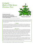 Caring for Black or White Spruce Christmas Trees by Tom Malone and Allen P. Richmond