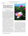 PEONIES FOR FIELD CUT FLOWER PRODUCTION SECOND-YEAR GROWTH by Patricia S. Holloway, Janice T. Hanscom, and Grant E.M. Matheke