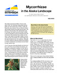Mycorrhizae in the Alaska Landscape by Jeff Smeenk and David Ianson