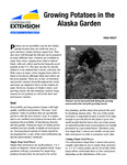 Growing Potatoes in the Alaska Garden by Jeff Smeenk