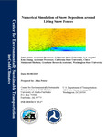 Numerical Simulation of Snow Deposition Around living Snow Fences by John Petrie, Kun Zhang, and Mahmoud Shehata