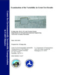 Examination of the Variability in Grout Test Results by Il-Sang Ahn and Trenton Friend