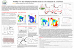 Modeling of Ice Algal and Pelagic Production and Air-Sea CO2 Exchange in the Arctic Ocean by Meibing Jin