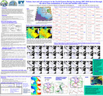Volume, Heat and Salt Transport in the North-Eastern Bering Sea During 2007-2010 Derived Through the 4dvar Data Assimilation of In-Situ and Satellite Observations by G. G. Panteleev, J. Zhang, A. Kurapov, J. Stroh, S. Dursky, T. Weingartner, and R. Woodgate