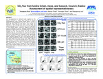 CO2 Flux from Tundra Lichen, Moss, and Tussock, Council, Alaska: Assessment of Spatial Representativeness by Yongwon Kim, Namyi Chae, and Bangyong Lee