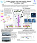 Processes Controlling Spatial Snow Distribution Variability at the Macro-Scale Level in Cold Regions by Simon Filhol and Matthew Sturm