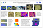 Two Years of High-Resolution Airborne Imagery and Value-Added Products for the Barrow Environmental Observatory by Jessica Cherry, Joe Lovick, Kerri Crowder, Keith Cunningham, and Julien Schroder
