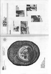 Now In The North, Vol. 11, No. 1 (February 1981) by N/A N/A