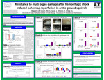 Resistance to multi organ damage after hemorrhagic shock induced ischemia/reperfusion in arctic ground squirrels by Lori Bogren, JM Olson, J Carpluk, JT Moore, and KL Drew