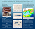 Shallow-water residency and limited dispersal of Atlantic halibut in the Gulf of Maine by Mark D. Evans