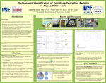 Phylogenetic Identification of Petroleum-Degrading Bacteria in Alaska Willow Soils by Catherine Glover