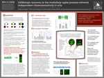 GABAergic neurons in the medullary raphé possess network independent chemosensitivity in situ by Kimberly E. Iceman