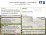 Species Delineation of the Genus Claytonia in Alaska by Stephany Jeffers