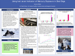 Using hair as an Indicator of Mercury Exposure in Sled Dogs by Jessica Klejka