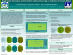 Superoxide Dismutase Activity within Caribou Serum as an Indicator of Copper Status by Cassandra Pauling
