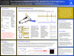 Simultaneous assessment of CO2 sensitivity in the respiratory network and its neurons by Mitchell D. Reed