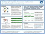Identifying raphé respiratory chemosensory amplifiers in situ. by Hannah Tallan