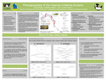 Phylogeography of Two Species of Marine Sculpins by Lauren Bailey