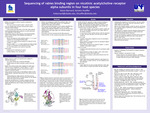 Sequencing of rabies binding region on nicotinic acteylcholine receptor alpha subunits in four host species by Karen Barnard
