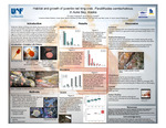 Habitat and growth of juvenile red king crab, Paralithodes camtschaticus, in Auke Bay, Alaska by Christina Howard