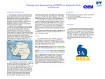 Cloning and Sequencing of HSP70 in Antarctic Fish by Sarah Marschall