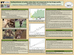 Feeding behavior of caribou calves does not compensate for low forage quality by Rachelle Ruffner