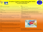 Perceptions of Alcohol Use Among Alaskan College Students by Ashley E. Strauch
