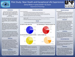 Pilot Study: Near Death and Exceptional Life Experiences by Ginny Miner, Lynea Schell, and Dj Tyson