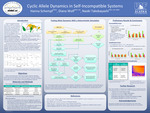 Cyclic Allele Dynamics in Self-Incompatible Systems by Hanna Schempf, Diana Wolf, and Naoki Takebayashi