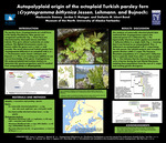 Autopolyploid origin of the octoploid Turkish parsley fern (Cryptogramma bithynica Jessen, Lehmann, and Bujnoch) by Mackenzie Stamey, Jordan S. Metzgar, and Stefanie M. Ickert-Bond