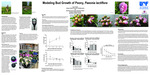 Modeling Bud Growth of Peony, Paeonia lactiflora by Luke Martin and Patricia Holloway