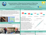 Characterization of Reproductive Systems of Returning Adult Arctic Lamprey, Lethenteron camtschaticum by Ayden See, Amber Perk, and Trent Sutton