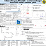 Synthetic pathways of platinum(IV) 2-phenylpyridine halogenic derivatives as potential anticancer agents by Pierce Brooks and William Howard
