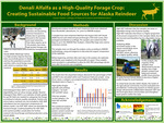 Denali Alfalfa as a High-Quality Forage Crop: Creating Sustainable Food Sources for Alaska Reindeer by Susan Glade and Mingchu Zhang