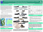A new look at the mammalian fauna from the Prince Creek Formation of Alaska by Xochitl Munoz and Patrick Druckenmiller