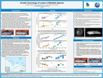 Growth Chronology of Lenses in Whitefish Species by Linnaea Doerner, Jonah Bacon, and Trent Sutton