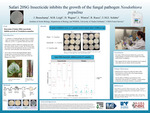 Safari 20SG Insecticide inhibits the growth of the fungal pathogen Neodothiora populina by Josie Beauchamp, Mary Beth Leigh, Diane Wagner, Loretta Winton, Roger Ruess, and Ursel Schutte